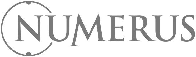 NuWebKit Example Models logo